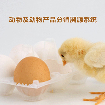 动物及动物产品分销溯源系统