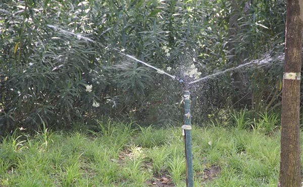 节水灌溉