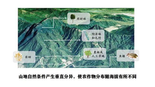 灌溉农业